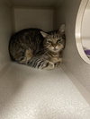 CLEO - Photo 1