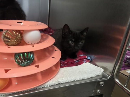 A067044