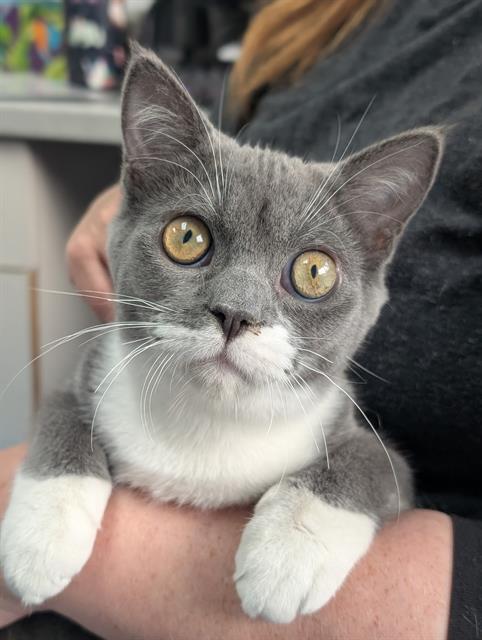 Rosie