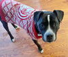 adoptable Dog in  named DAVEY