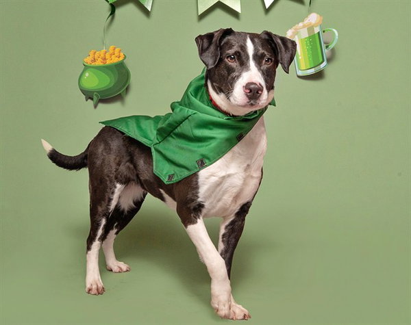 PRETTY GIRL