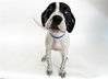 MERVIN - Photo 1