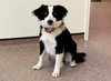 MISSY - Photo 1