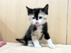 FLUFFY - Photo 1