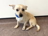 MILO - Photo 1