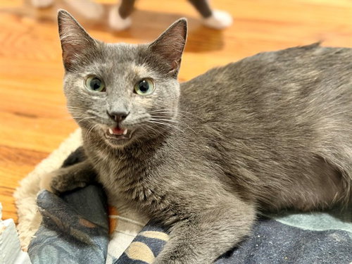 ETHEL