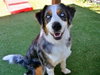 SADIE - Photo 1