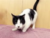 SMUDGE - Photo 1