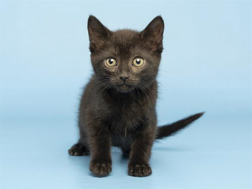 BINX