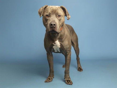 DUNCAN