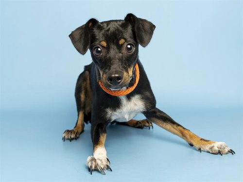 RANCH