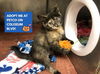 adoptable Cat in , IN named ALICE
