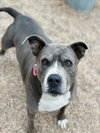 BONNIE - Photo 1