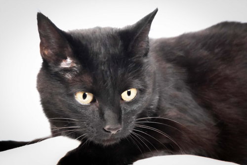 BINX