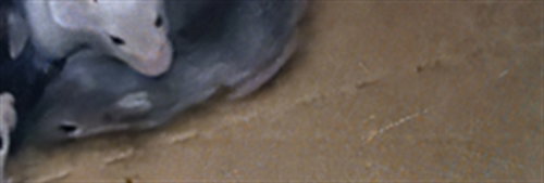 Bleu