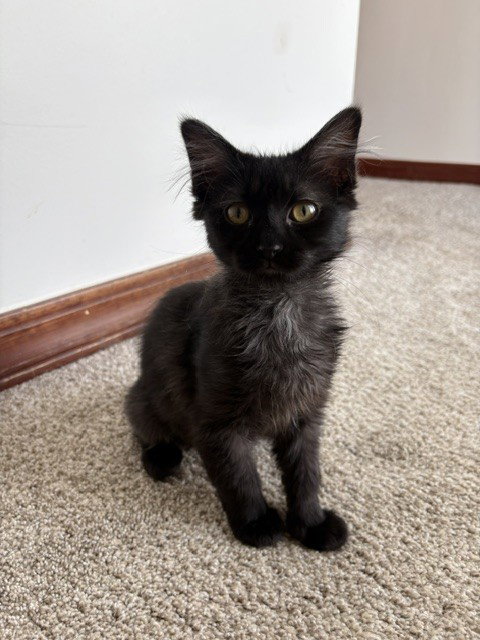 Lucy Lou