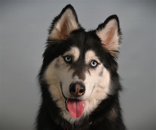 KAYA