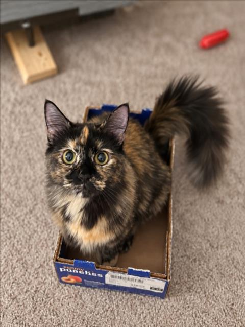 Luna
