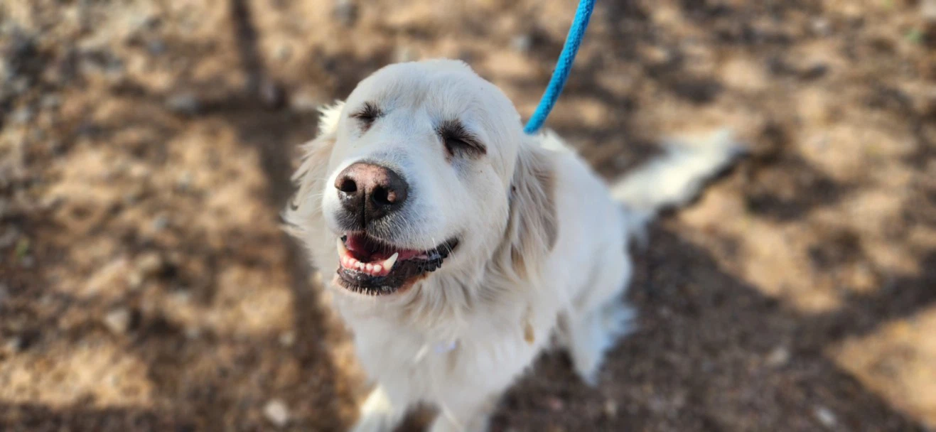 Blanca