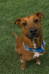 ZEUS - Photo 1