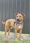 ZEUS - Photo 1