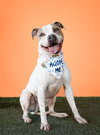 FREDDY - Photo 1