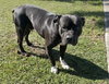 CASH - Photo 1
