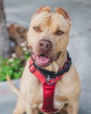 MAX - Photo 1