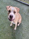 COLBY - Photo 1