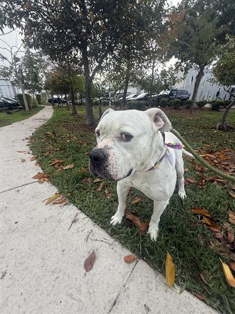 ESTHER Image