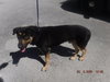 BOB - Photo 1