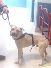 REX - Photo 1