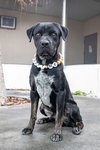GUNTHER - Photo 1