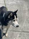 BEN - Photo 1