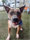 ROSCO - Photo 1