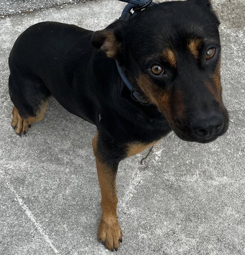 BEN