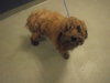 HENRY - Photo 1