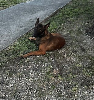 DUKE