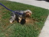 BELLA - Photo 1