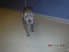 ROSIE - Photo 1