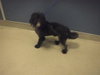 PRINCESA - Photo 1