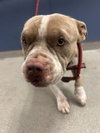 TINY - Photo 1