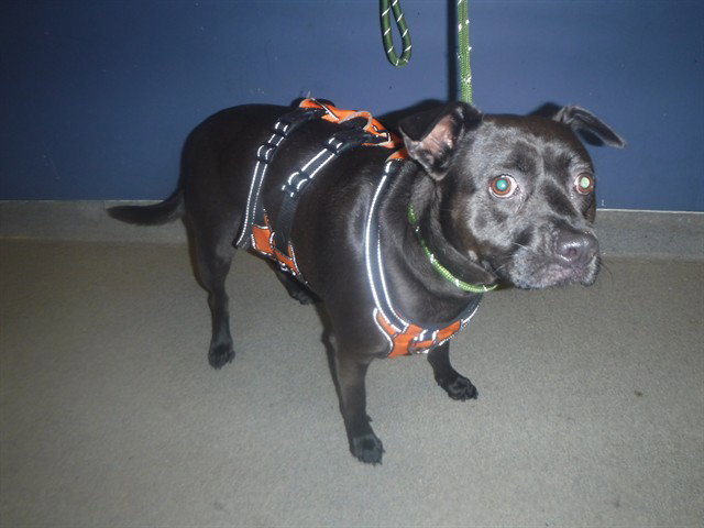 COCO Image
