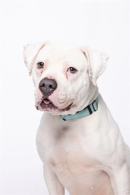 Opie