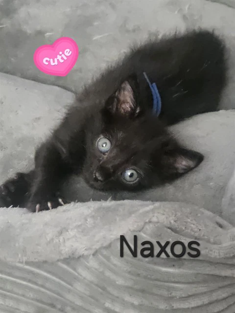 Naxos