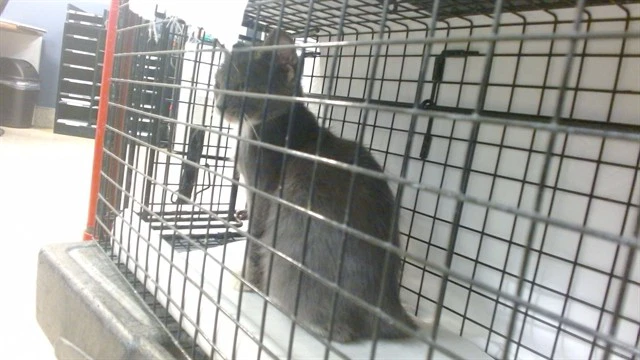 Ted Furry