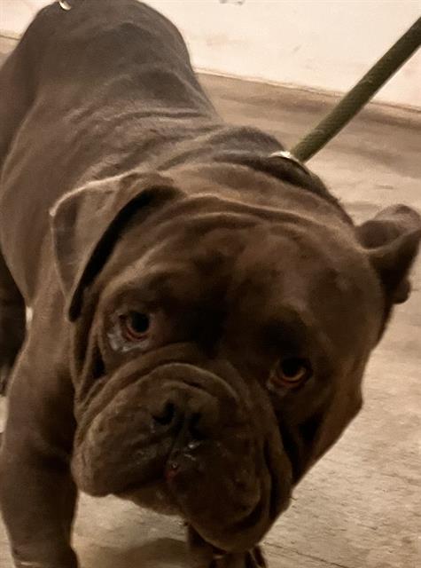 Rene