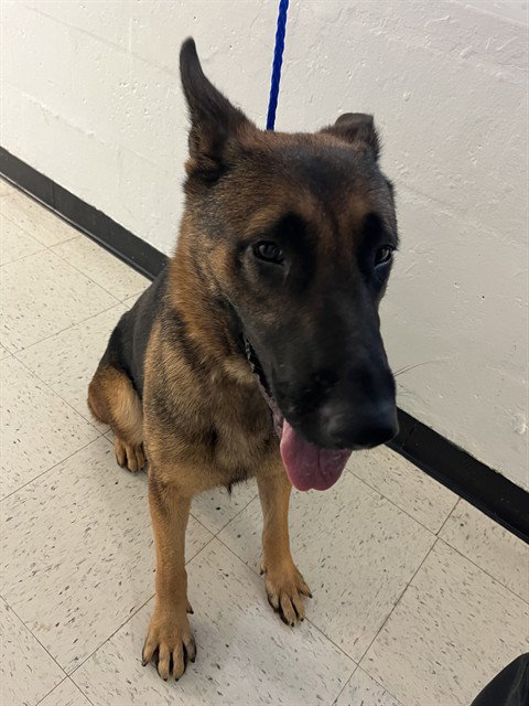 SHEP