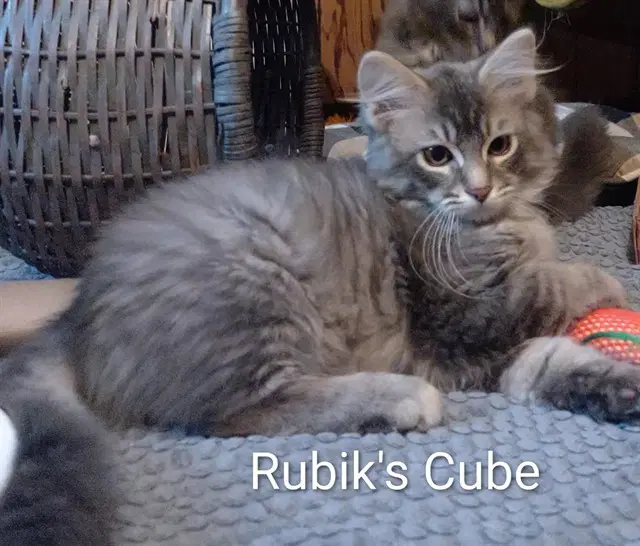 Rubik's Cube image 1