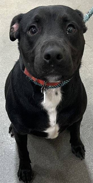OREO